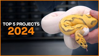 Top 5 Ball Python Projects for 2024 [upl. by Lareneg]