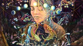 Cristas Icaros  Ayahuasca song 7 [upl. by Adimra474]