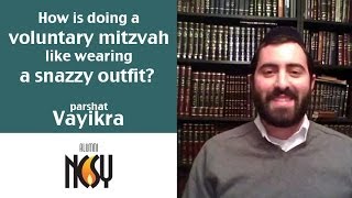 How is doing a voluntary mitzvah like wearing a snazzy outfit Parshat Vayikra Rabbi Ari Strulowitz [upl. by Lladnyk]