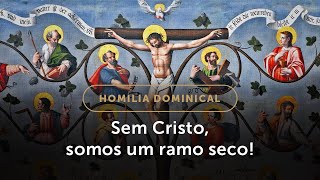 Homilia Dominical  Como seremos os ramos da videira de Cristo 5º Domingo da Páscoa [upl. by Maro]