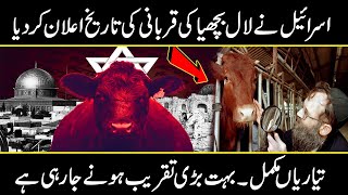 Israel Sacrificing Red Heifer In April  End time Prophecy  Urdu Cover [upl. by Erny]