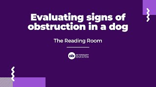 Evaluating signs of obstruction in a dog  The Reading Room  Veterinary Radiology Explained [upl. by Culhert]