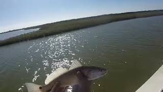 Matagorda Bay fishing 2019 [upl. by Blanc495]