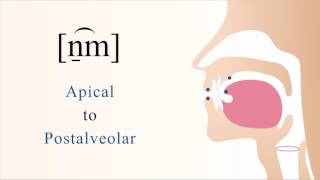 n̠͡m  voiced labialized apical postalveolar nasal stop [upl. by Roosevelt881]