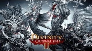 Divinity Original Sin 2 Walkthrough Shadow Over Driftwood QuestWreckers Cave Guide Part 2 [upl. by Inwat]