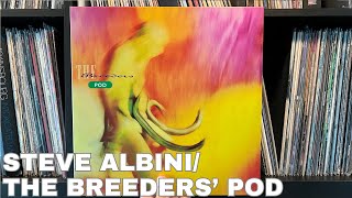 Steve AlbiniThe Breeders Pod [upl. by Jabez905]