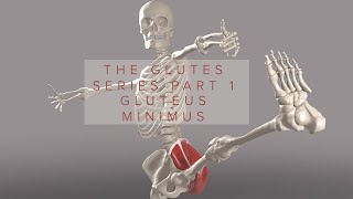 Glutes Series Part 1 Gluteus Minimus 3D Animation [upl. by Nennek]