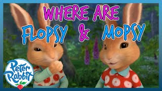 OfficialPeterRabbit  🔎🐰🐰 Where are Flopsy and Mopsy 🐰🐰🔎  COMPILATION  Cartoons for Kids [upl. by Kassaraba]