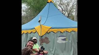 Sherwood Renaissance Fair Falconry Show [upl. by Etnohs241]