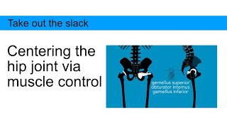 Centering the hip joint via muscle control creates space in the hip joint [upl. by Thorma26]