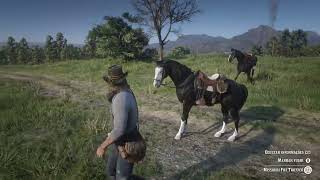 Arthur e baylock  rdr2 [upl. by Htebirol]