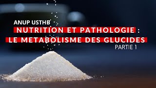 Nutrition et Pathologie  Métabolisme des Glucides ANUP USTHB [upl. by Euqinu106]