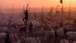 Dinka The Legendary Cattle Herders of South Sudan by Oscar Mann Box 2450100502 Kenya [upl. by Nueoras]