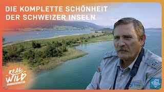 3 Stunden Doku zum Einschlafen Atemberaubende Schweiz  Real Wild DE [upl. by Debra]