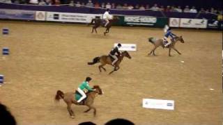 Pony club mounted games hoys 2011 [upl. by Alekat]