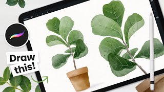 How To Draw Watercolor Fiddle Leaf Fig Tree • Procreate Tutorial [upl. by Cirdek]