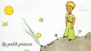 Le Petit Prince  Livre Audio avec texte  Chapitre XXV  FR [upl. by Atinrehs69]