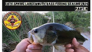 LATE SPRING LARGEMOUTH BASS FISHING SEASON 2024 PART 9 [upl. by Anaili]