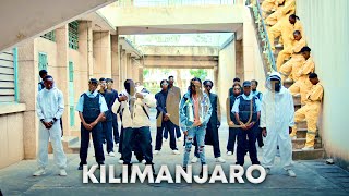 Dogo Janja amp Loui  Kilimanjaro Official Music Video [upl. by Franz]