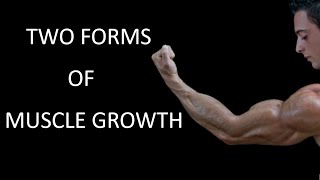 How Do Muscles Grow Sarcoplasmic and Myofibrillar Growth [upl. by Acilegna]