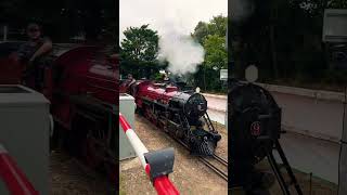 Romney sands train [upl. by Nylteak]