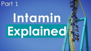 Intamin Explained  Part 1 [upl. by Hakeber]