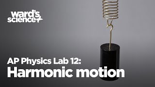 AP Physics Lab 12 Harmonic Motion in a Spring [upl. by Reham]