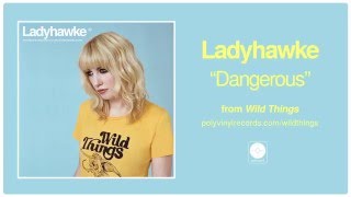 Ladyhawke  Dangerous  Official Audio [upl. by Hamrnand]