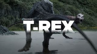 Exclusive Video of Tyrannosaurus Rex the KILLER [upl. by Mureil]