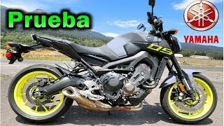 Yamaha FZ09  MT09 EDICIÓN ESPECIAL Y FULL SYSTEM TWO BROTHERS Review en Español 😎 [upl. by Christian]