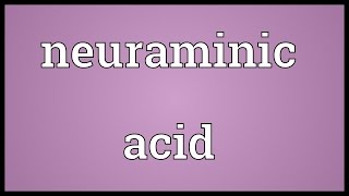 Neuraminic acid Meaning [upl. by Accalia377]