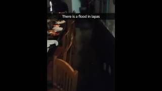 Ellicott City MD Flash Flood at La Palapa July 30 2016 [upl. by Anaela]