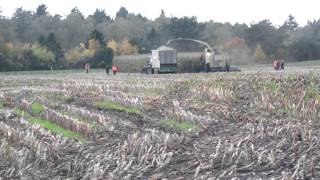 Krone Big X 1100 Teil 2 Jäger u Jagd [upl. by Karin]