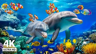 NEW 3H Stunning 4K Underwater Wonders  Relaxing Music Coral Reefs Fish amp Colorful Sea Life [upl. by Lombardy]