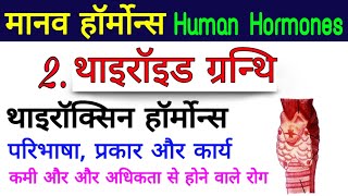 मानव हॉर्मोन्स Human hormones endocrine system in hindi  harmon  hormones  Thyroid gland [upl. by Erek]