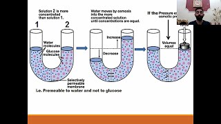 Body Fluid Physiology part 2 [upl. by Ailaht]