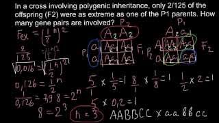 How to solve problems with polygenic inheritance [upl. by Neehs]