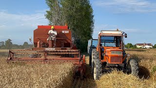 TREBBIATURA FRUMENTO  GRANO 2023 con LAVERDA M120 [upl. by Lehcear]