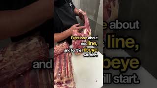 Separating the Rib and Ribeye from the front and the Chuck  pt2 [upl. by Delinda]