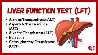 Liver Function Tests LFTs  liver function test interpretation  Animation  MultiLanguages [upl. by Lejna]