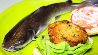 Catch Clean Cook Catfish – Fishing for saltwater catfish – hardhead catfish  How to cook catfish [upl. by Eppes414]