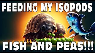 Feeding My Pet Isopods Fish And Peas Isopod House Terrarium 4K [upl. by Dory51]