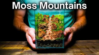 I Made a STUNNING Moss Mountain Terrarium Here’s How [upl. by Aistek616]