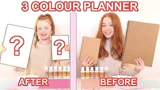 TWIN TELEPATHY 3 COLOR PAINT DIY School Planner Makeover Challenge  Sis Vs Sis  Ruby and Raylee [upl. by Meggie]