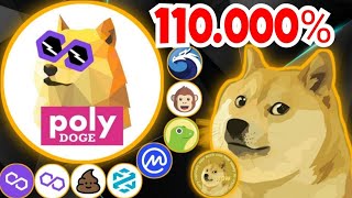 ELON MUSK KETAWA POLY DOGE COIN PUMP 110 MALAM INI‼️ LISTING DI OKEX  NEXT LISTING COINBASE [upl. by Asiak870]