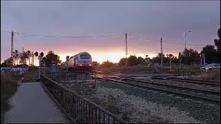 334 Renfe Talgo Alicante Madrid cruzándose con Camello Renfe [upl. by Mcleroy237]