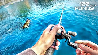 Fishing The BLUEST Pond Ive Ever Seen 100 Ponds Ep 34 [upl. by Terrene]