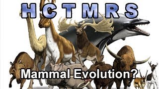 How Creationism Taught Me Real Science 64 Mammal Evolution [upl. by Esidarap]