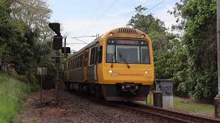 Trains at Palmwoods [upl. by Huesman]