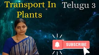 Transport In Plants in telugu 3l Class 11 NCERT Neet Biology l LATHA AKULA Biology Tutorials l [upl. by Stephi433]